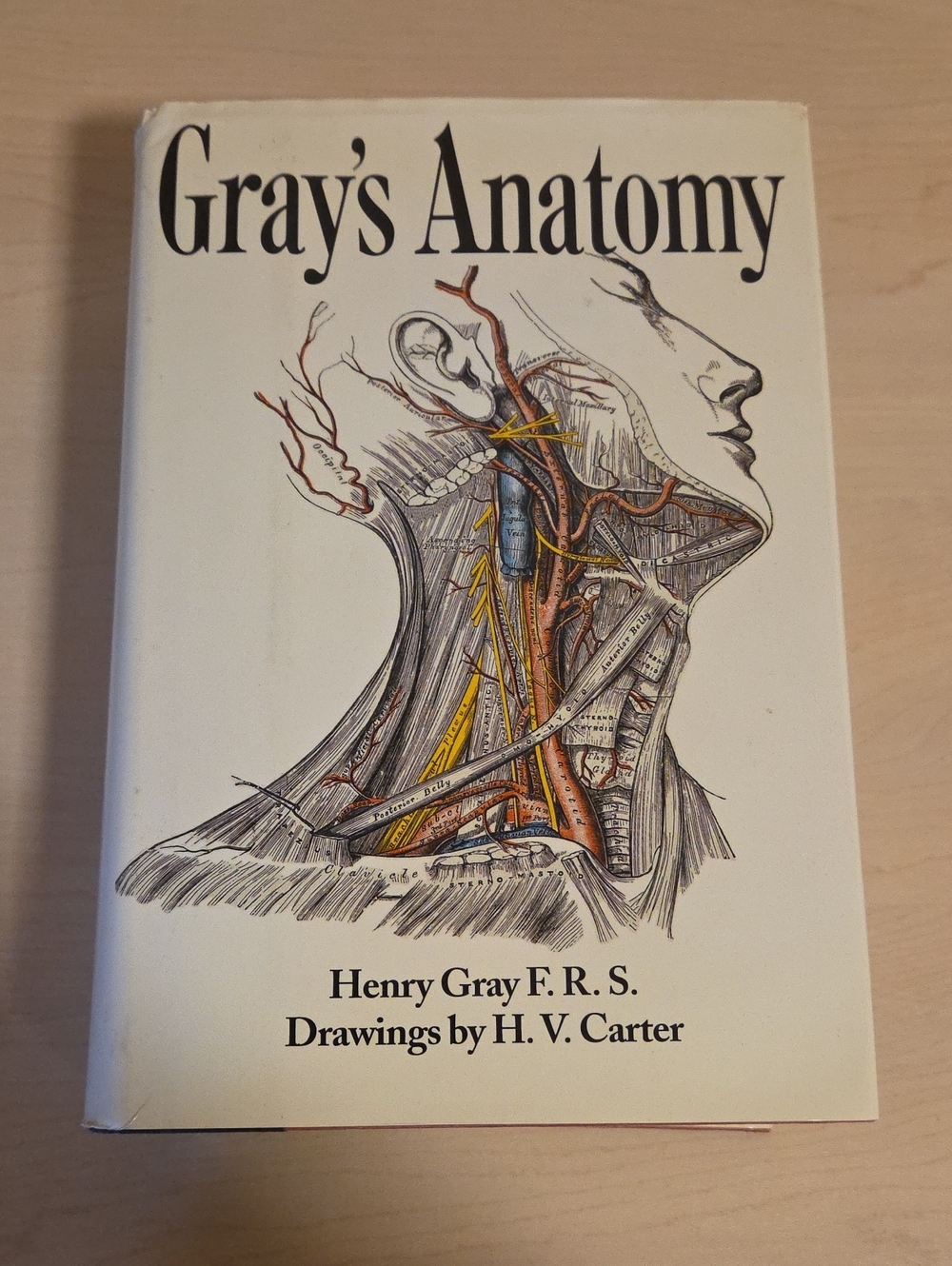 Gray's Anatomy by Henry Gray, F.R.S.